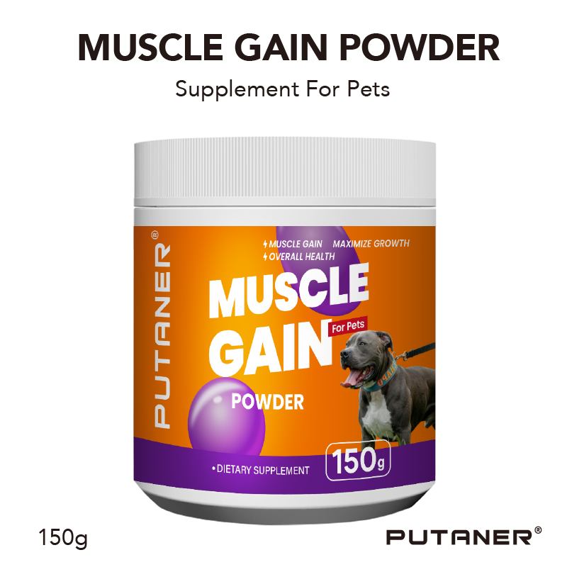 Muscle Gain Powder
