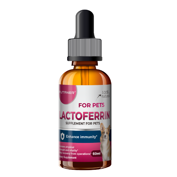 网站产品合集去除标题-06.png 网站产品合集去除标题-06.png